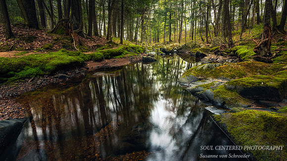 Creek with mossy rocks and reflections 1