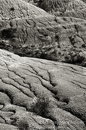Badlands scenery 7, bw