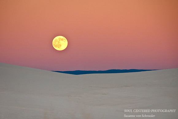 Moon sand dunes, NM 2, Nov. '09