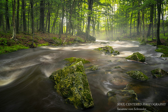Creek after spring rain, May 21. '21 5