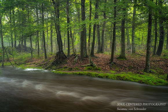 Creek after spring rain, May 21. '21 6