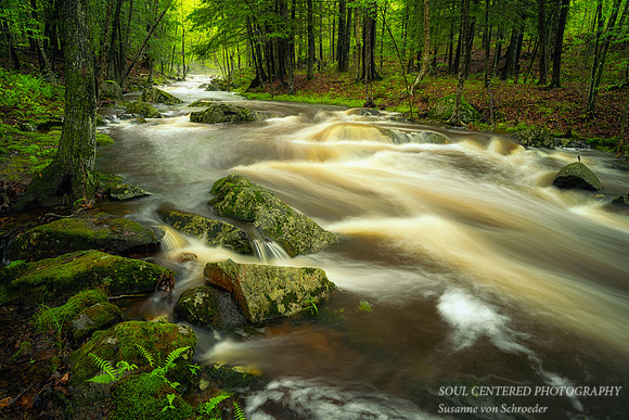 Creek after spring rain, May 21. '21 1