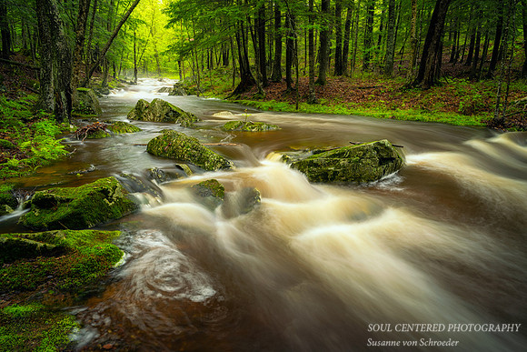 Creek after spring rain, May 21. '21 2