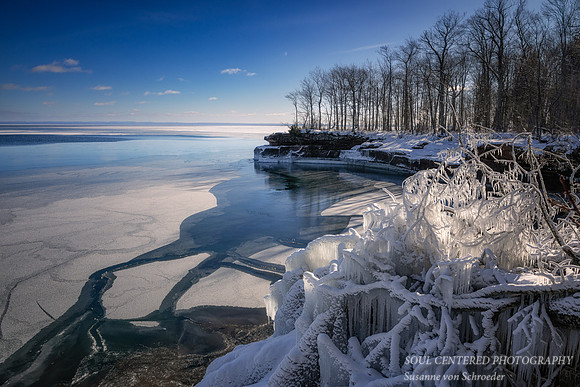 At Madeline Island, Ice covered tree, Febr. '25