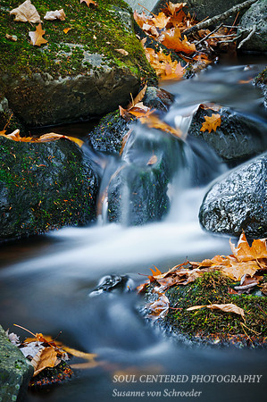 Creek in Blue Hills 6