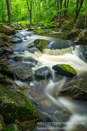 Summer Creek 3, 7.'14