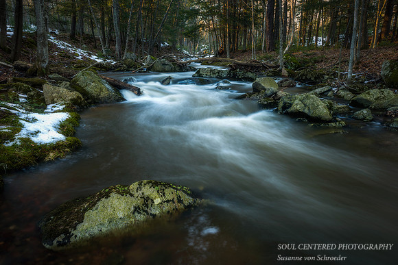 Early snow melt 2