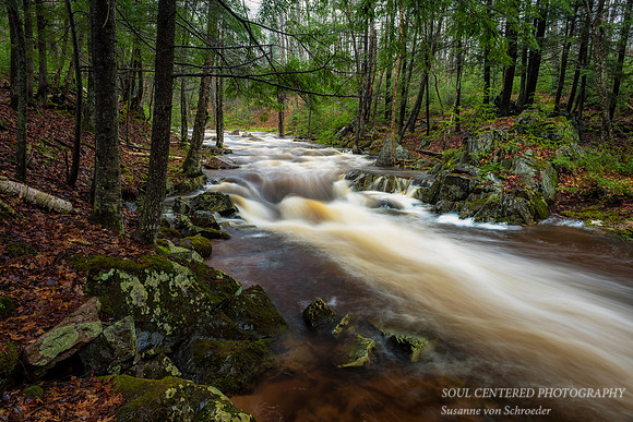 Becky's Creek
