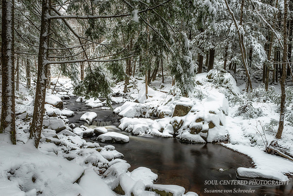 Magical winter scene