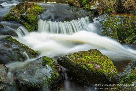 Creek in spring, close-up, 4.'17