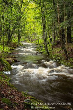 Creeks are running high 3, 5.'17