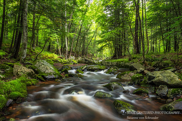 Creek in the Blue Hills, 8.'17
