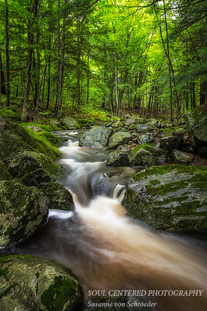 Creek in the Blue Hills 2,  8.'17