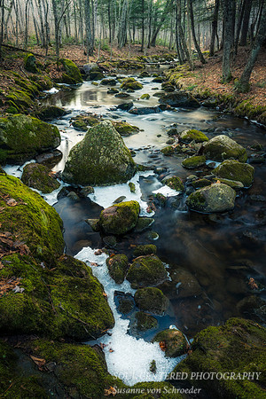 Becky's Creek in Spring, 3.'17