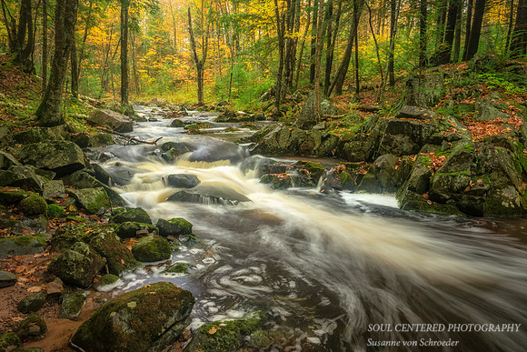 Magic Creek, Fall '15 2