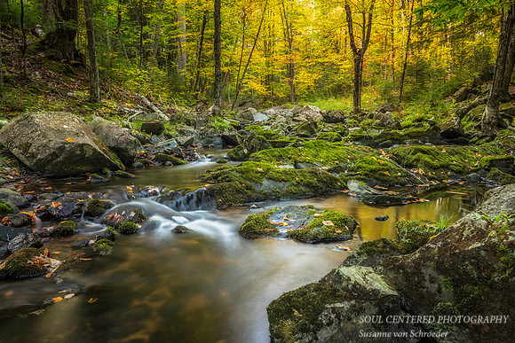 Magic Creek, fall 3, 9.'14