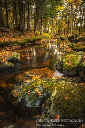 Creek with leaves 3