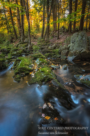 Magic Creek, fall 1, 9.'14