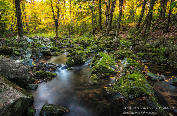 Magic Creek, fall 2, 9.'14