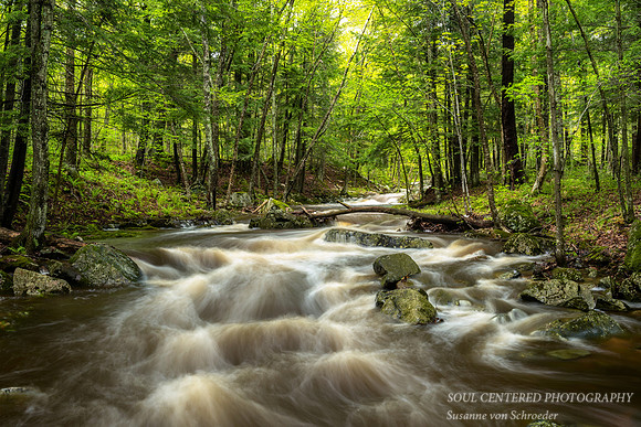 Creeks are running high 2, 5.'17