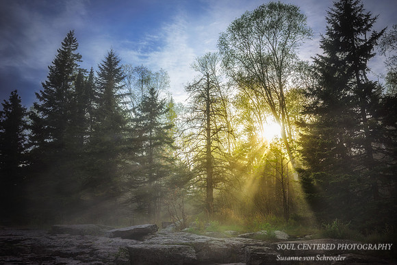 Sunlight on a foggy day