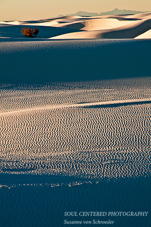 White Sand dunes 1