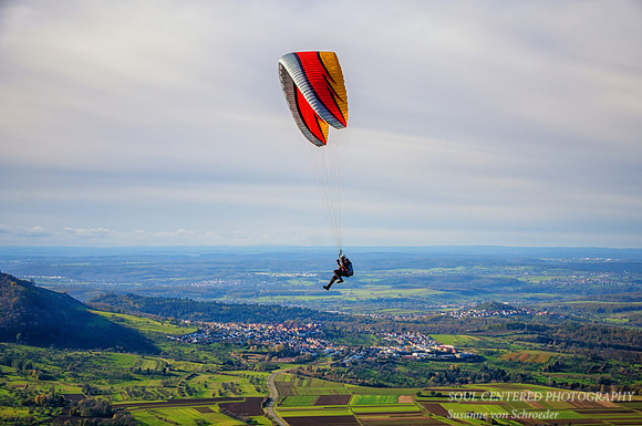 _DSC7006a