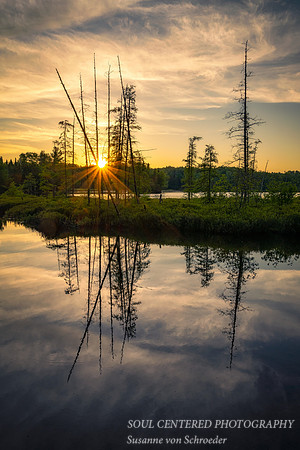 Sunset, bog at Audie Lake, June '21