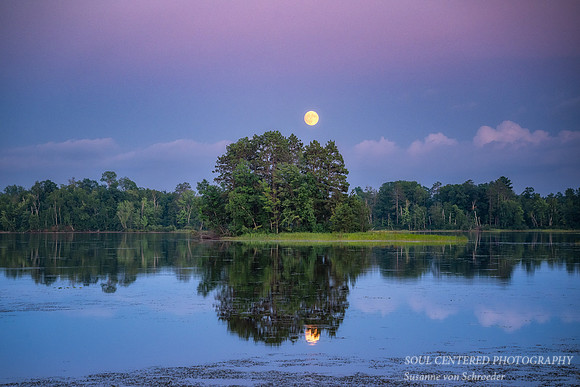 August full moon rising, Chippewa Flowage, '25 2