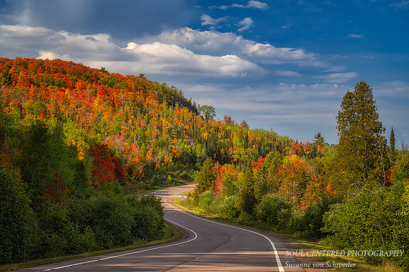 Autumn road, Hwy 4 near Lutsen, MN