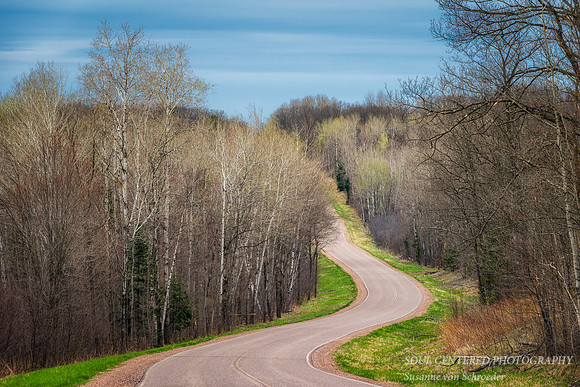 Spring road