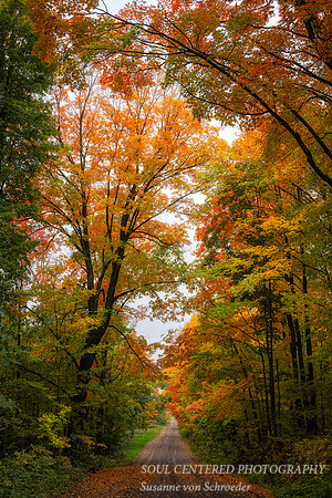 Fall colors, road, 9. '23