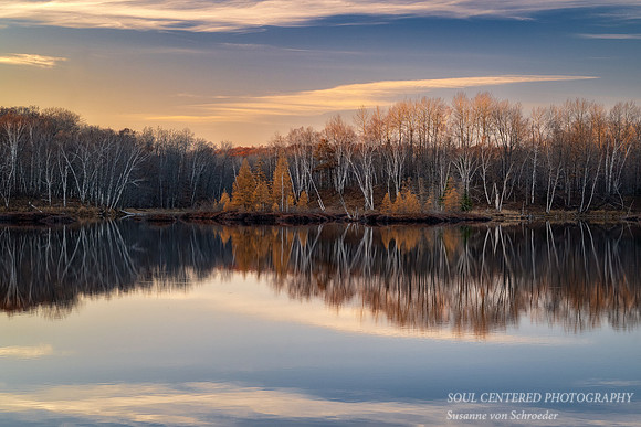 Tamarack and Birch trees, evening reflections 1