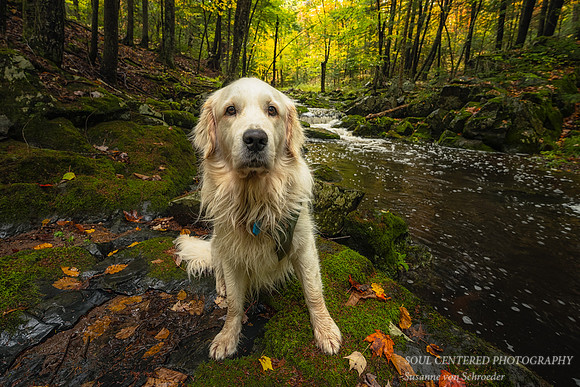 Shanti at Creek in the Blue Hills, end Sept. '23