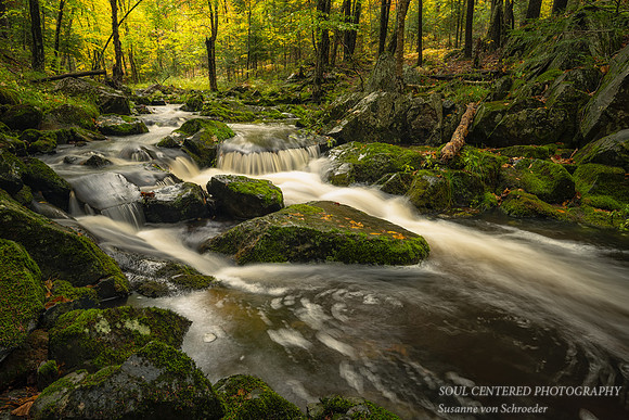 Creek in the Blue Hills, end  Sept.  '23 2