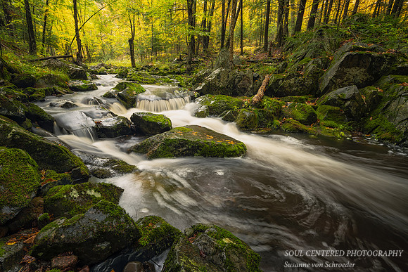 Creek in the Blue Hills, end  Sept.  '23 3