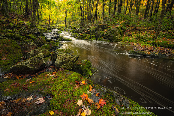 Creek in the Blue Hills, end  Sept.  '23 1