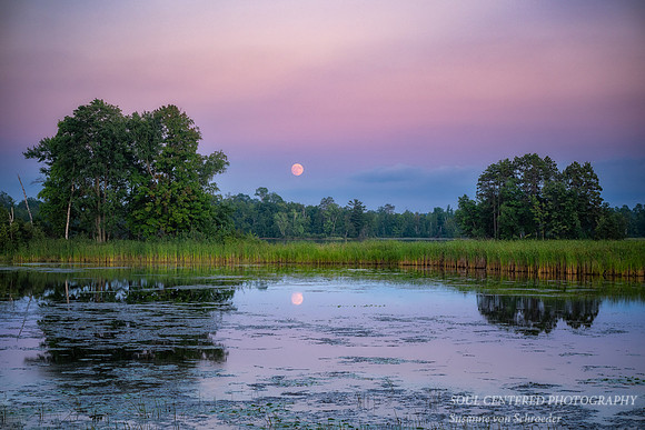August full moon rising, Chippewa Flowage, '25 1