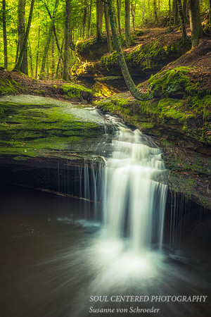 Echo Dells, Spring 2017