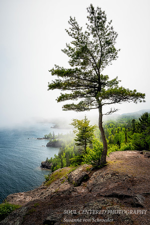 Foggy day at Tettegouche State park 1