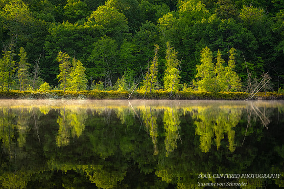 Bog reflections with a layer of fog 2