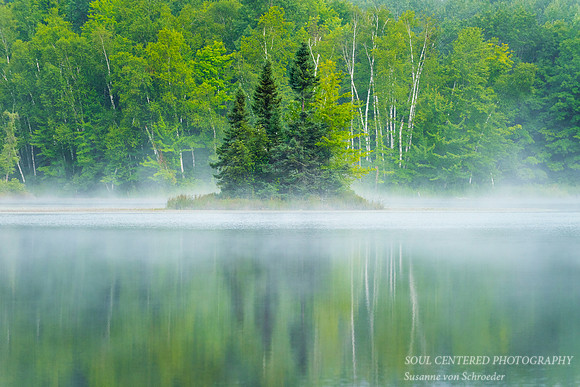 Summer morning with fog