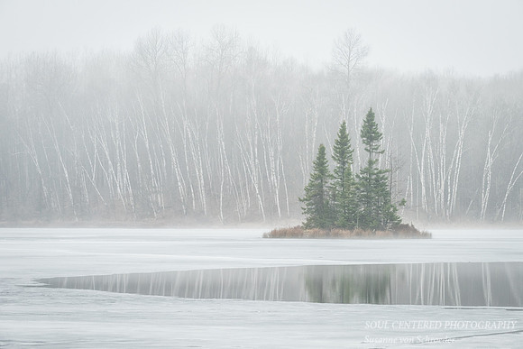 Foggy spring morning