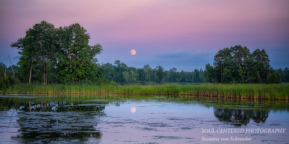 August full moon rising, Chippewa Flowage, '25, 1 panorama