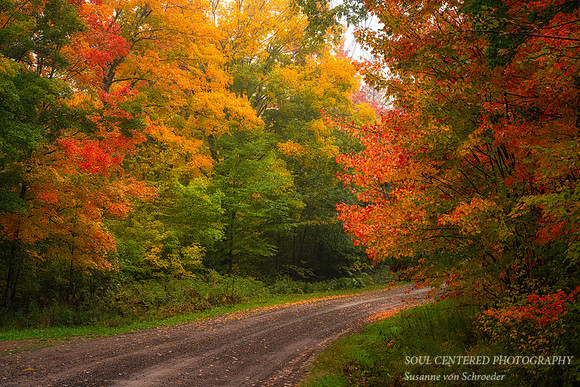 Autumn drive thru the Blue Hills, '23 1