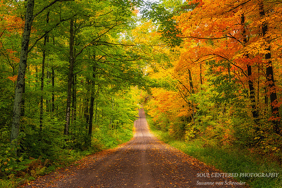 Autumn drive thru the Blue Hills, '23 2