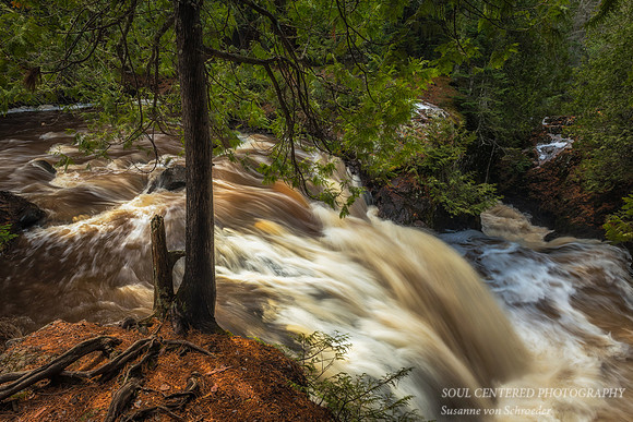 Snake Pit Falls, '18