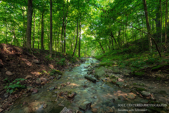 _DSC2984a