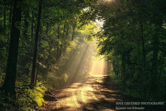 Sun rays on a foggy morning, Blue Hills 4