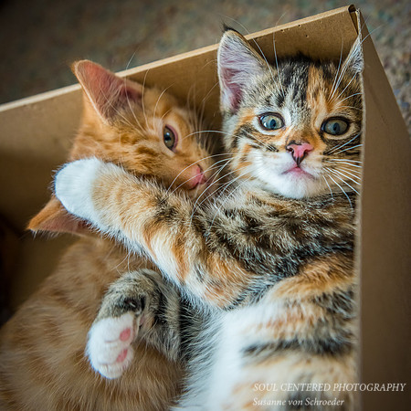 Brother and sister